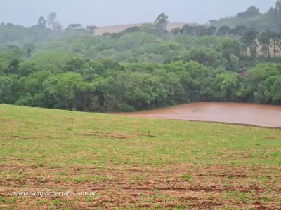 Produtores lamentam prejuízos ainda imensuráveis 